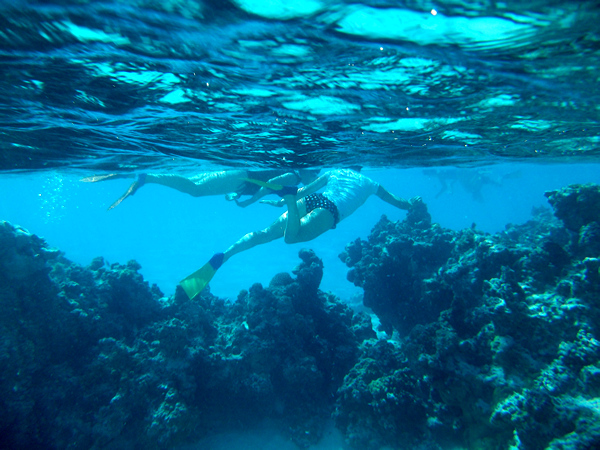 Snorkelling, Aitutaki Lagoon, Cook Islands