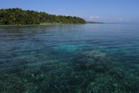 Landoro Gardens, Uepi Island, Solomon Islands