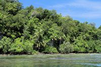  Solomon Islands