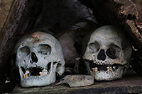 Skull Island, Vona Vona Lagoon, Solomon Islands