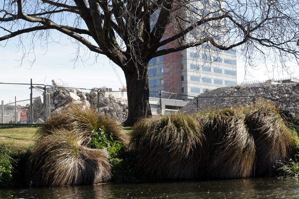 Punting on Avon River, Christchurch NZ after the earthquakes