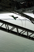 Bungy Jump, Auckland Harbour Bridge