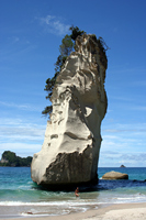 Cathedral Cove, Coromandel Peninsula, NZ