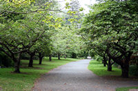 Isel Park, Nelson, NZ.
