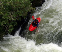 Okere Falls, Bay of Plenty, NZ