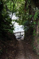 Okere Falls, Bay of Plenty, NZ