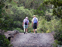 Rangitoto Island, Auckland