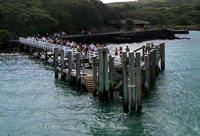 Rangitoto Island, Auckland