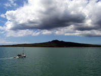 Rangitoto Island, Auckland