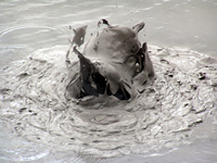 Boiling Mud Pools, Rotorua