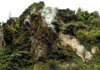 Steam Vents, Waimangu