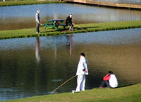 Prawn Park, Taupo