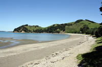 Waiheke Island, Auckland, NZ.