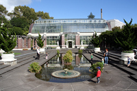 Auckland Wintergarden