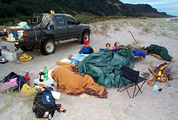 A Night on the Beach