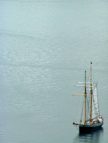 R Tucker Thompson, Bay of Islands, NZ