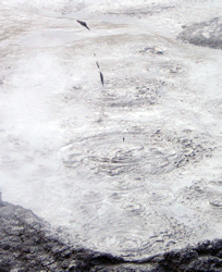 Boiling Mud Pools in Rotorua