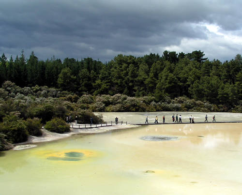 Lady Knox Geyser, Wai-o-Tapu, Rotorua