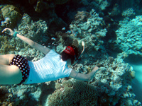 Snorkelling, Aitutaki