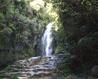 Kaiate Falls, Bay of Plenty, NZ