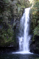 Kaiate Falls, Bay of Plenty, NZ
