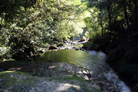 Kaiate Falls, Bay of Plenty, NZ