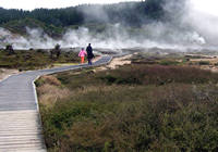 Taupo's Craters of the Moon