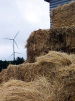 Wind Farms, Woodville, NZ
