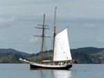 Sailing, R Tucker Thompson,  Bay of Islands