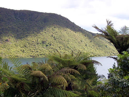 Green Lake, Rotorua,  New Zealand