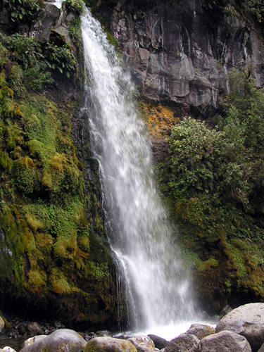 Dawson Falls, Mt Egmont, or Mt Taranaki, New Zealand