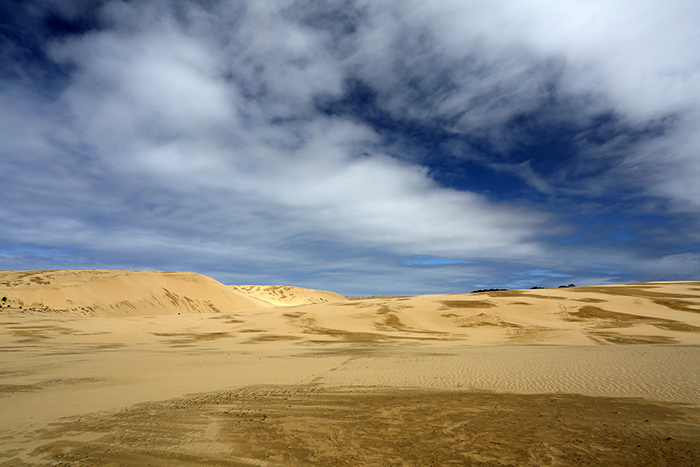 Te Paki Sand Dunes, Far North, NZ.